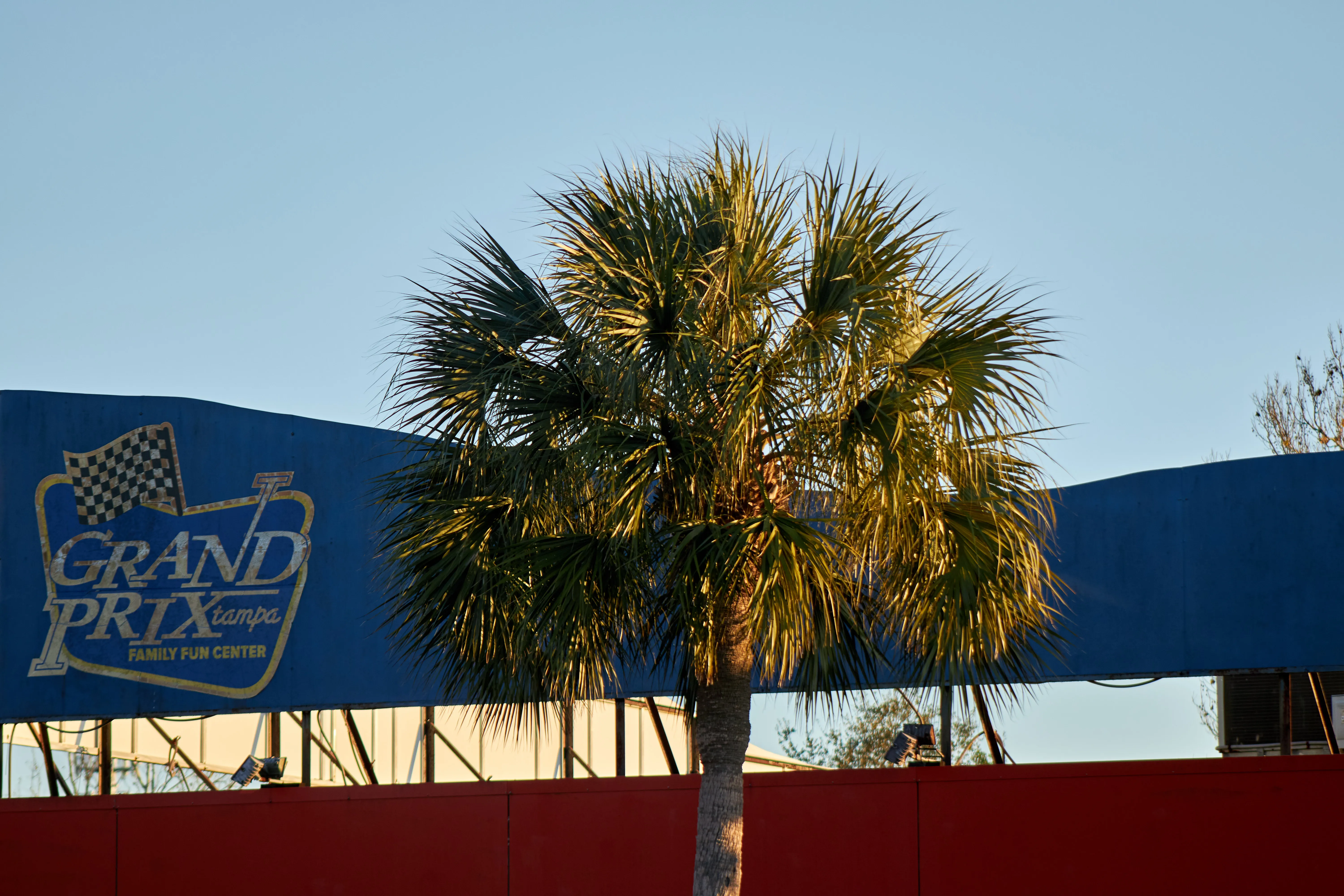 A backlit palm tree in front of a Grand Prix Tampa sign at golden hour